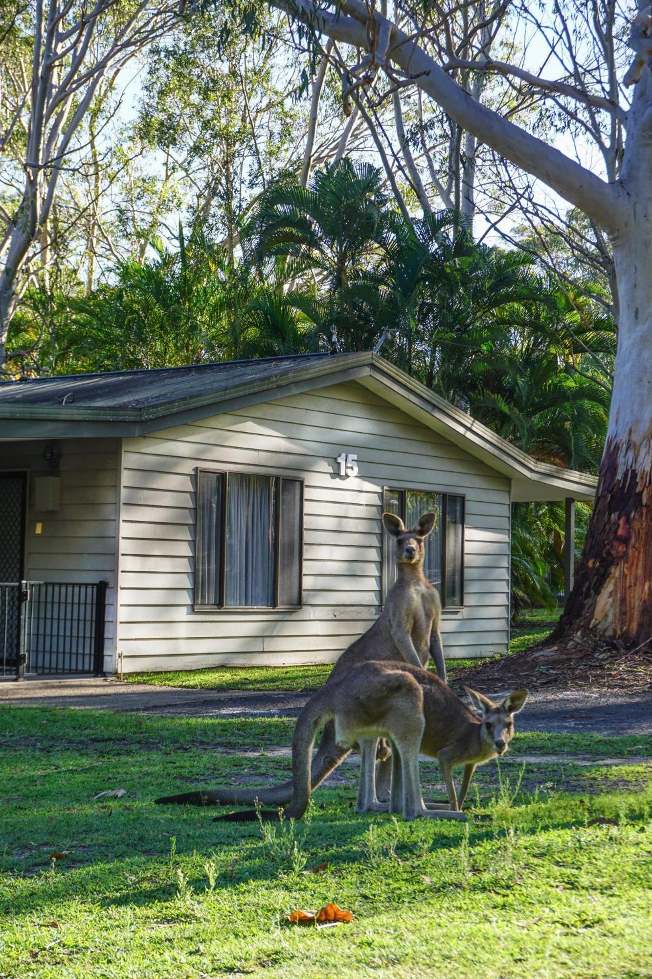 Big4 Noosa North Shore Bagian luar foto
