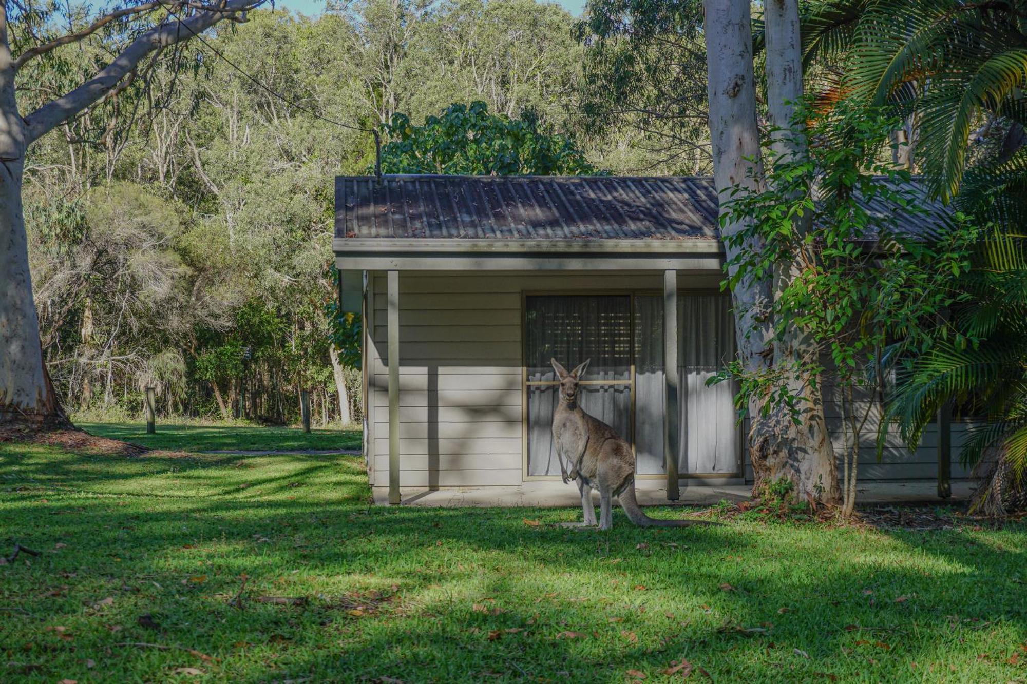 Big4 Noosa North Shore Bagian luar foto